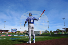 Dodgers Diamondbacks Spring Baseball