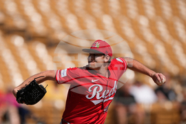 Reds White Sox Spring Baseball