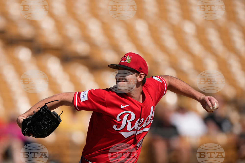 Reds White Sox Spring Baseball