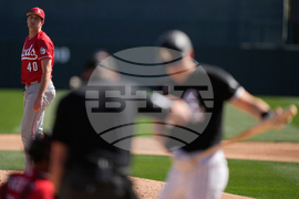 Reds White Sox Spring Baseball