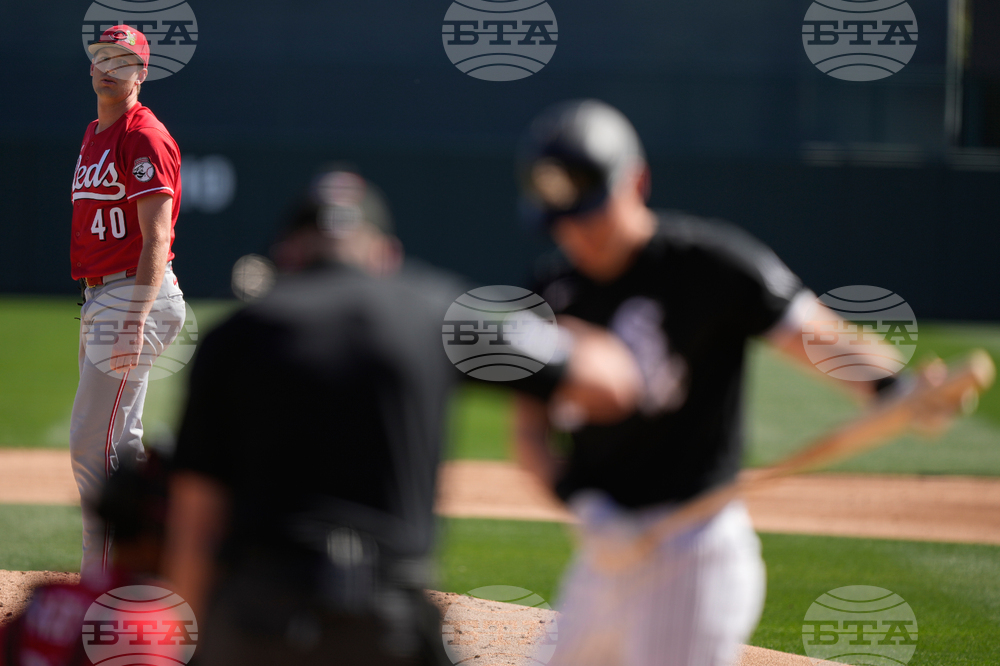 Reds White Sox Spring Baseball