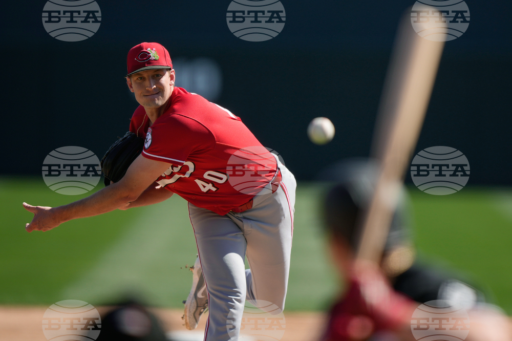Reds White Sox Spring Baseball