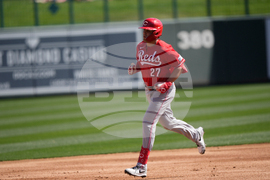 Reds White Sox Spring Baseball
