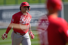 Reds White Sox Spring Baseball