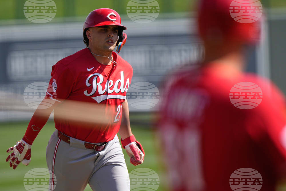 Reds White Sox Spring Baseball