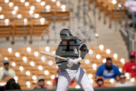 Reds White Sox Spring Baseball
