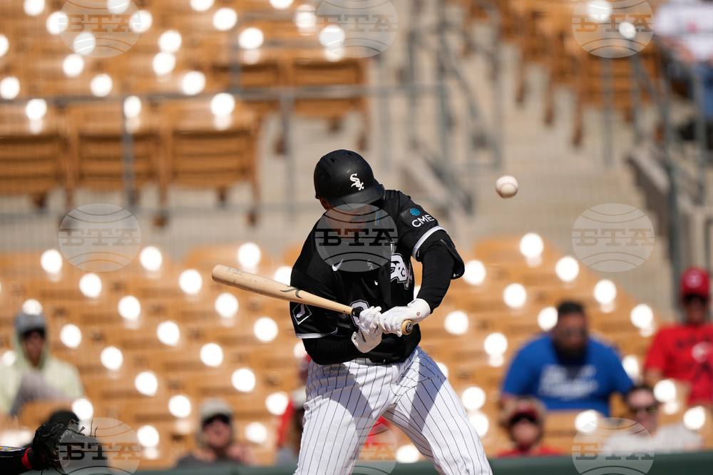 Reds White Sox Spring Baseball