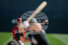 Reds White Sox Spring Baseball