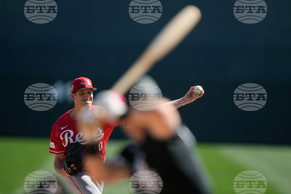 Reds White Sox Spring Baseball