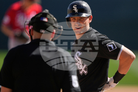 Reds White Sox Spring Baseball
