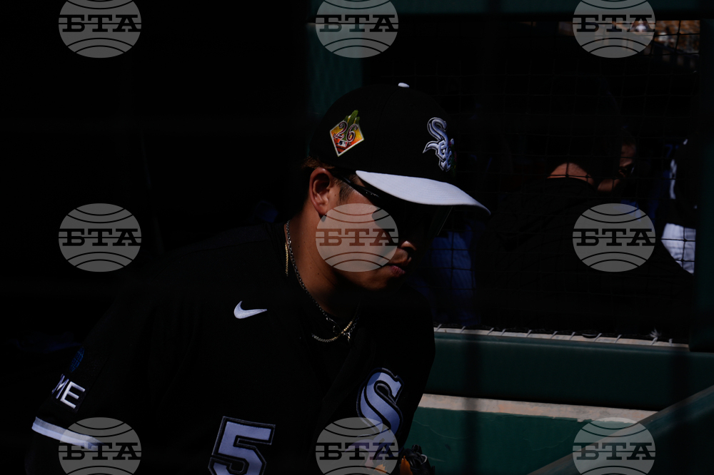 Reds White Sox Spring Baseball