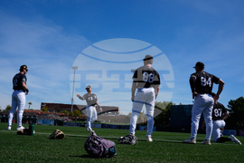 Reds White Sox Spring Baseball