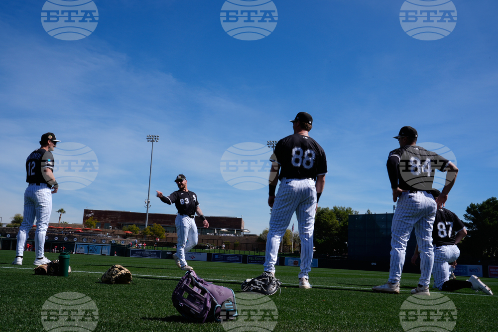 Reds White Sox Spring Baseball