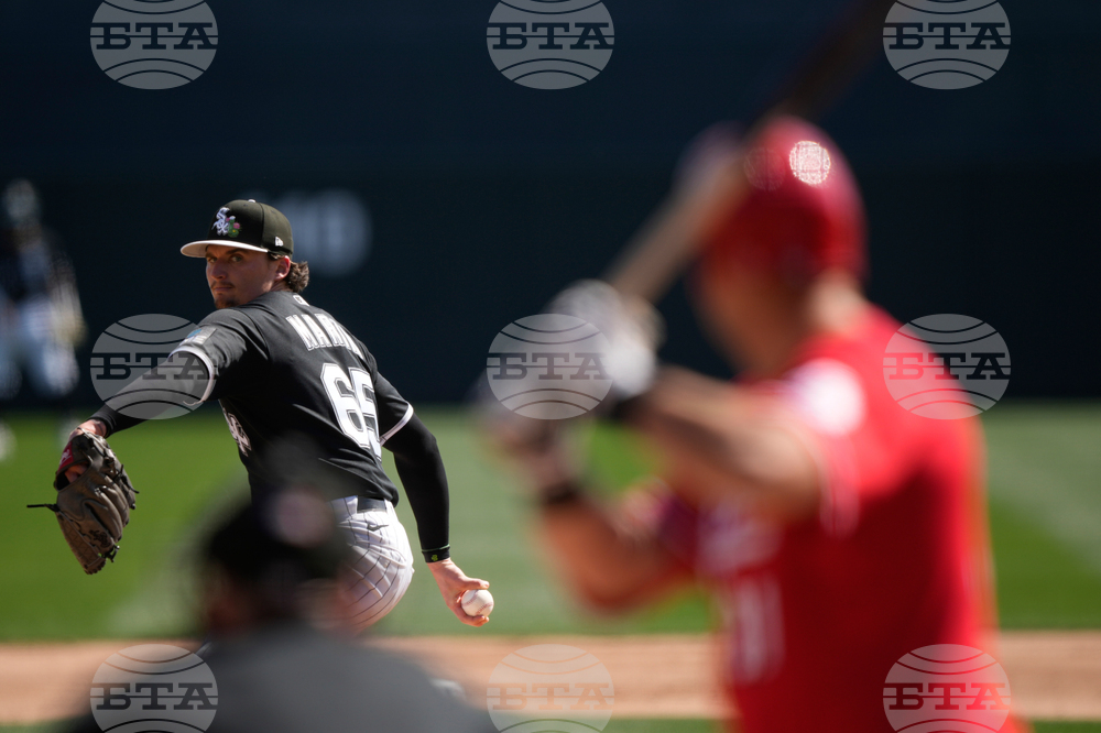 Reds White Sox Spring Baseball