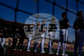 Reds White Sox Spring Baseball