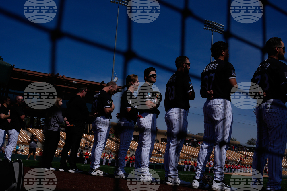 Reds White Sox Spring Baseball
