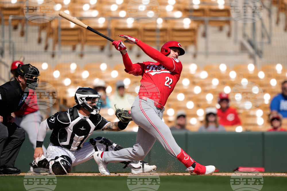 Reds White Sox Spring Baseball