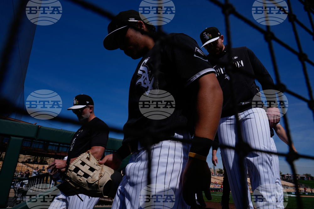 Reds White Sox Spring Baseball