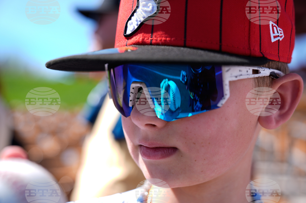 Reds White Sox Spring Baseball