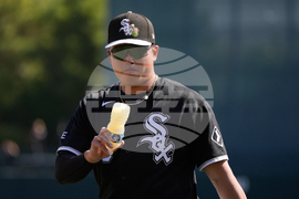 Reds White Sox Spring Baseball
