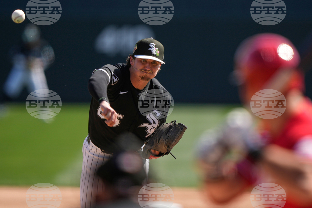 Reds White Sox Spring Baseball