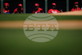 Reds White Sox Spring Baseball