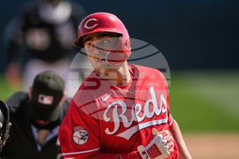 Reds White Sox Spring Baseball