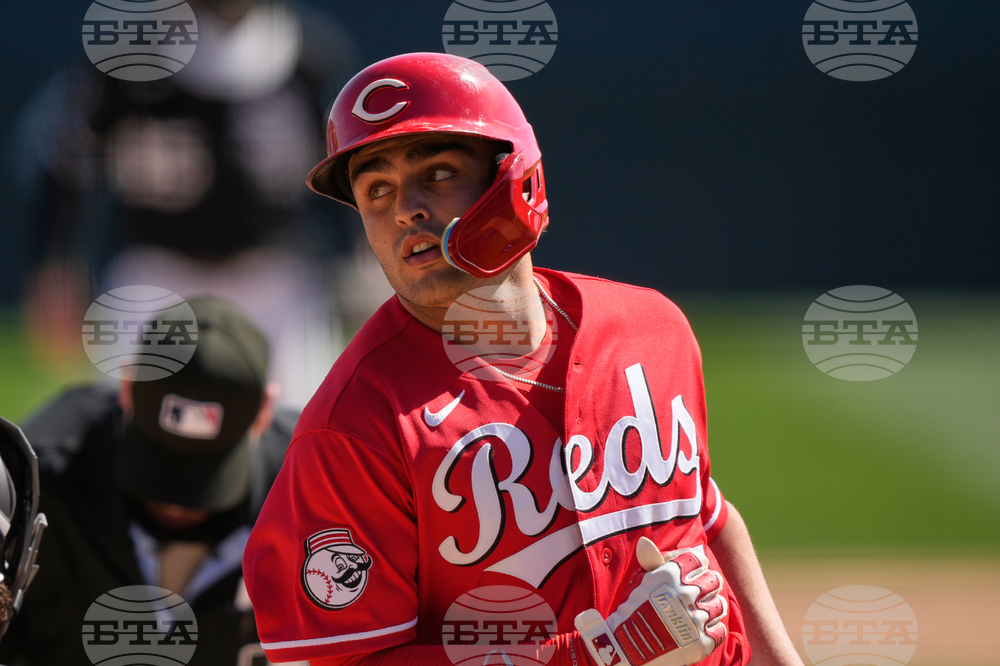 Reds White Sox Spring Baseball