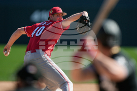 Reds White Sox Spring Baseball