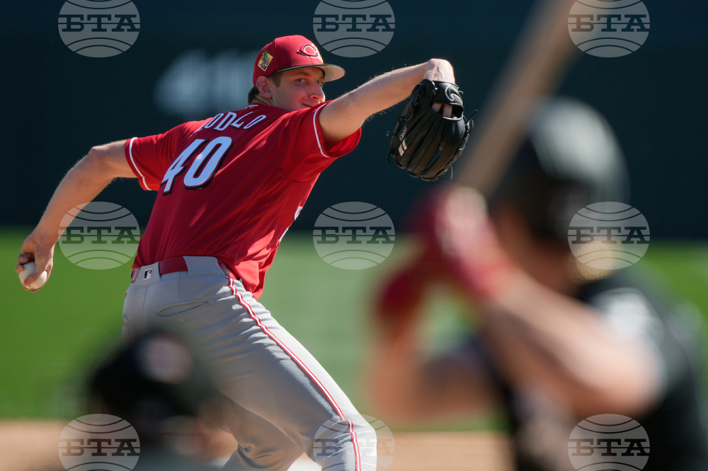 Reds White Sox Spring Baseball