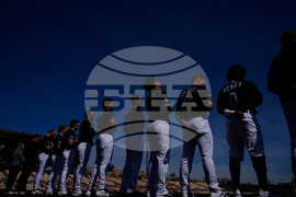 Reds White Sox Spring Baseball