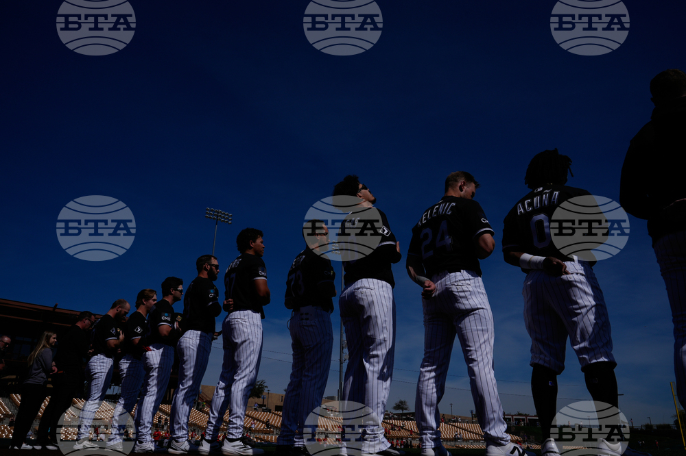 Reds White Sox Spring Baseball