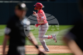 Reds White Sox Spring Baseball