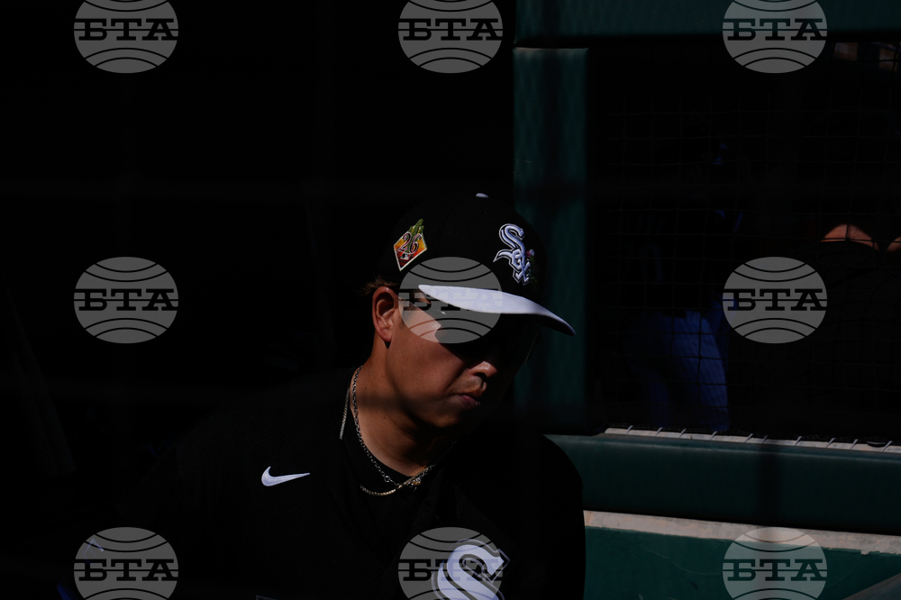 Reds White Sox Spring Baseball