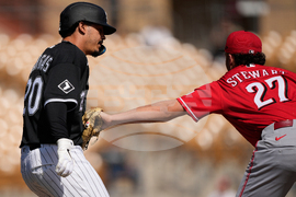 Reds White Sox Spring Baseball