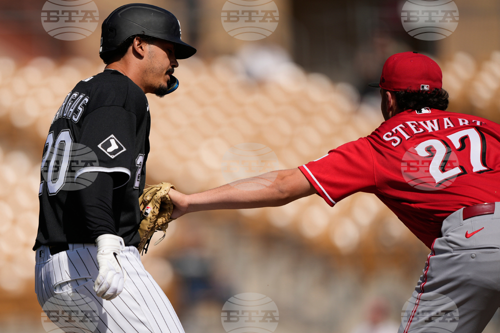 Reds White Sox Spring Baseball