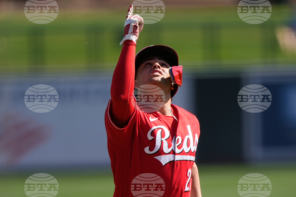 Reds White Sox Spring Baseball