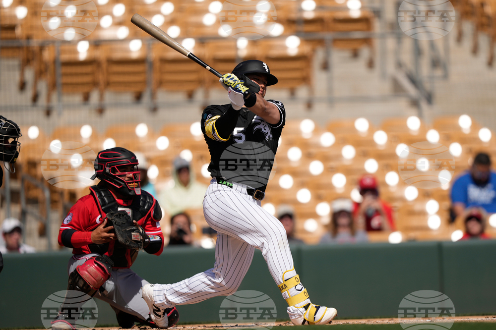 Reds White Sox Spring Baseball