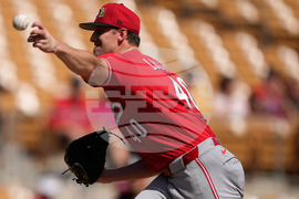 Reds White Sox Spring Baseball