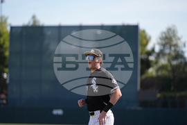 Reds White Sox Spring Baseball