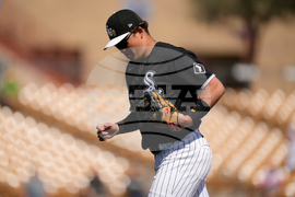 Reds White Sox Spring Baseball