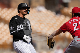 Reds White Sox Spring Baseball