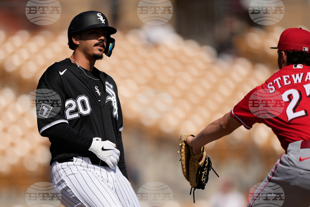 Reds White Sox Spring Baseball