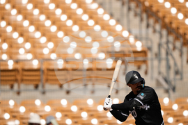 Reds White Sox Spring Baseball