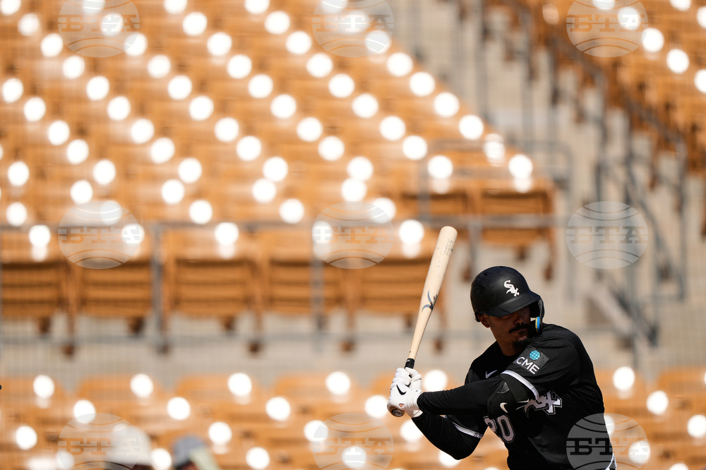Reds White Sox Spring Baseball
