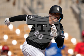 Reds White Sox Spring Baseball