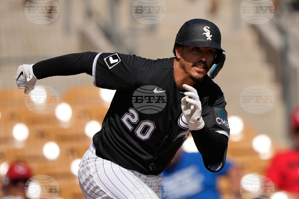 Reds White Sox Spring Baseball