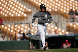 Reds White Sox Spring Baseball