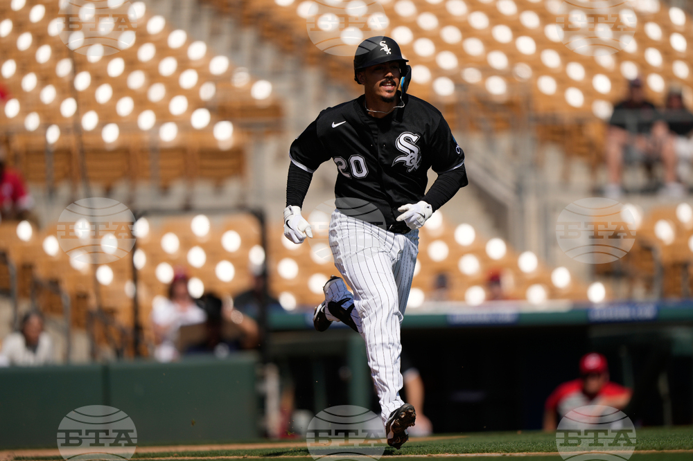 Reds White Sox Spring Baseball