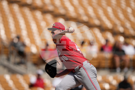 Reds White Sox Spring Baseball